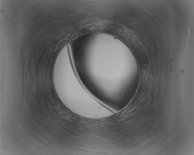 X0000083071250200702021002