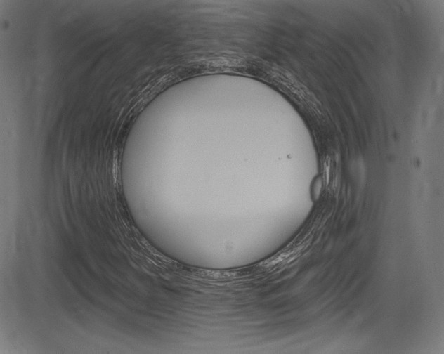 X0000083071251200702021002