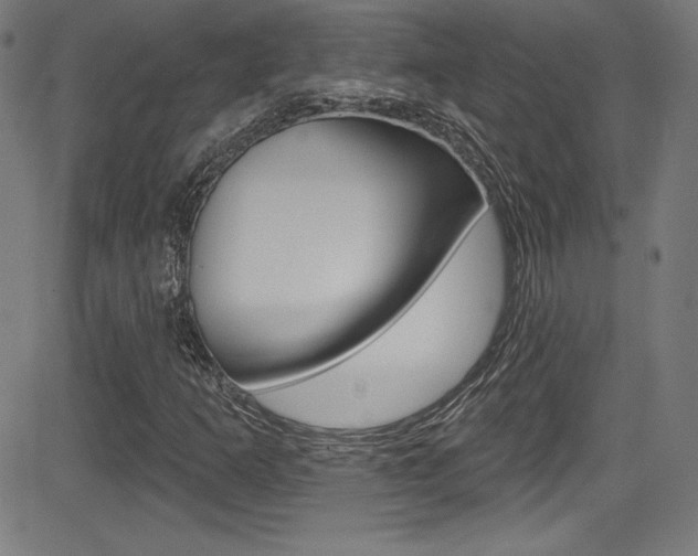 X0000083071253200702021002
