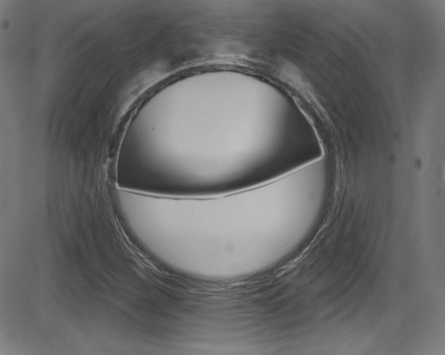 X0000083071260200702021002