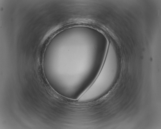X0000083071261200702021002