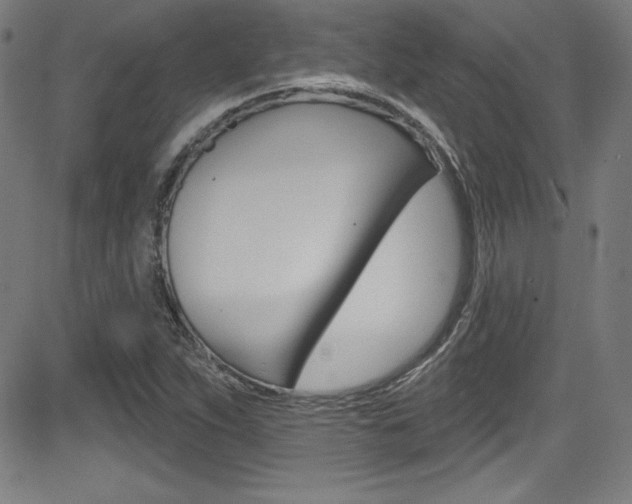 X0000083071263200702021002