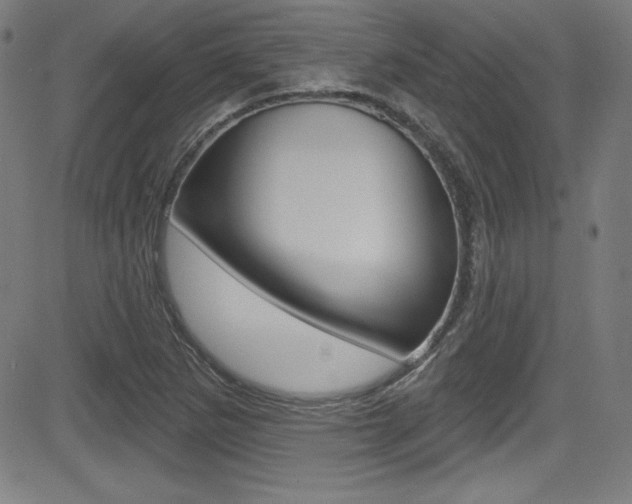 X0000083071265200702021002