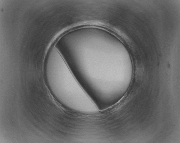 X0000083071272200702021002