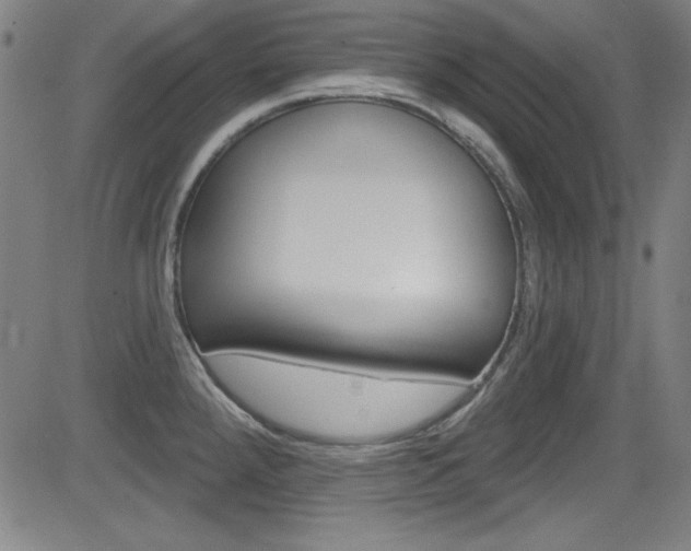 X0000083071288200702021001