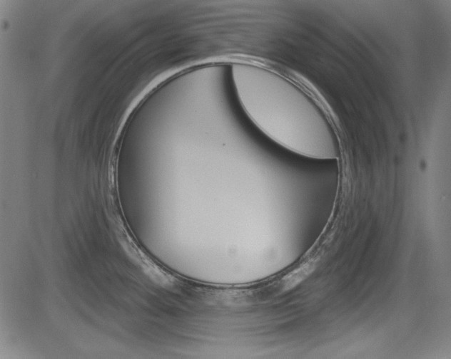 X0000083071292200702021001