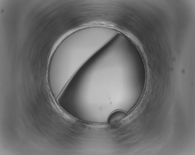 X0000083071296200702021001