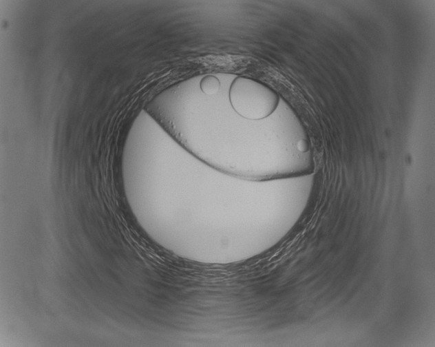 X0000083071297200702021000