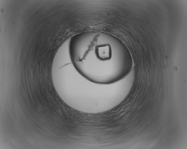 X0000083071298200702021000