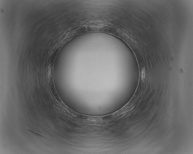 X0000083071299200702021000