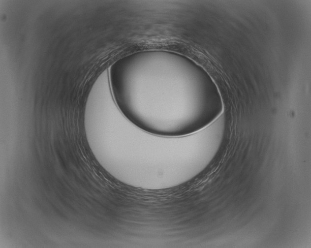 X0000083071300200702021000