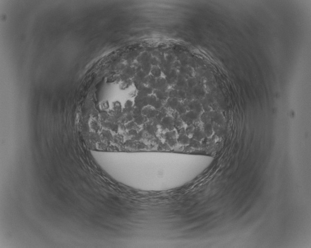 X0000083071302200702021000