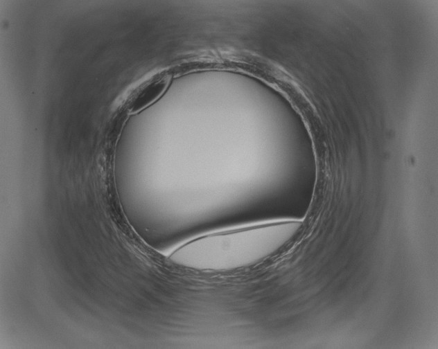 X0000083071304200702021001