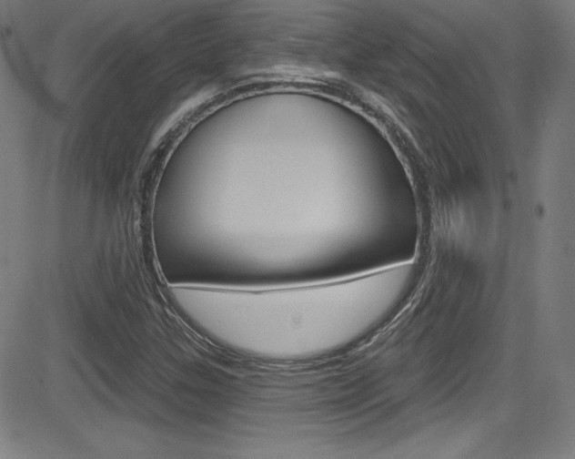 X0000083071307200702021001