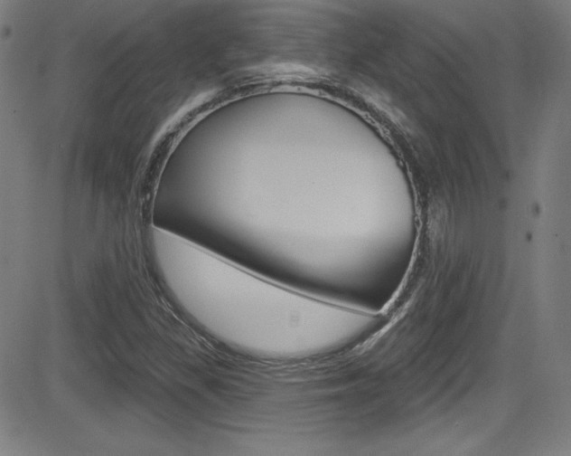 X0000083071309200702021001