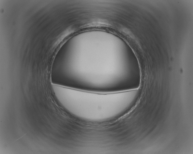 X0000083071313200702021001