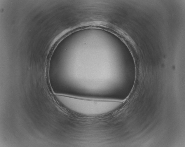 X0000083071316200702021001