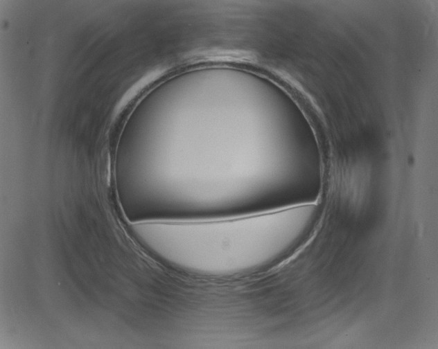 X0000083071317200702021001