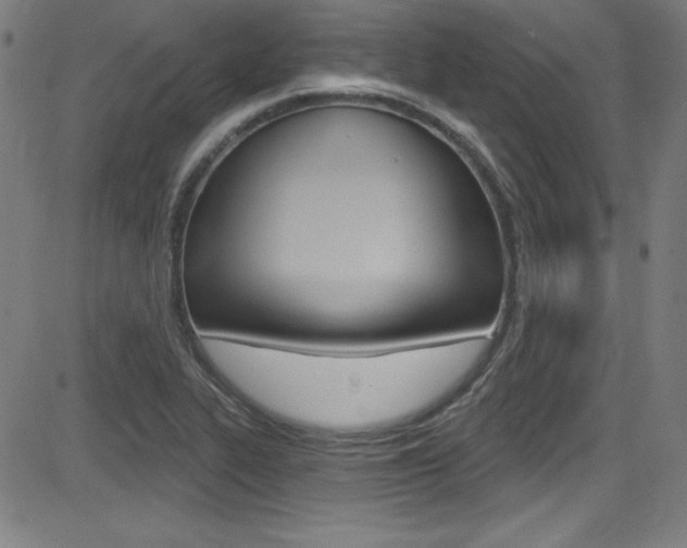 X0000083071319200702021001