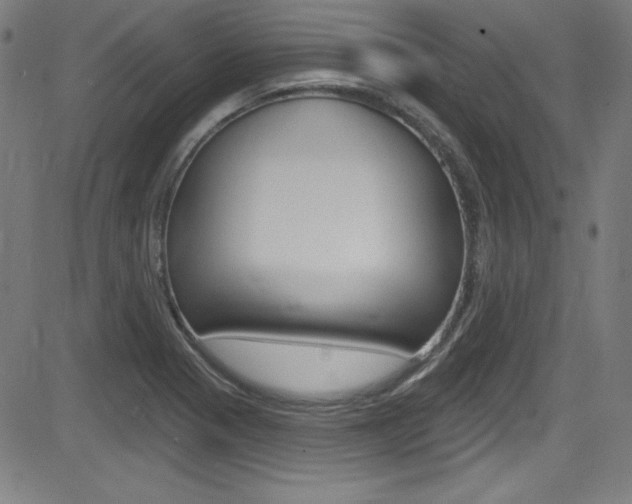 X0000083071321200702021001