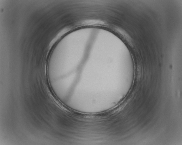 X0000083071322200702021001
