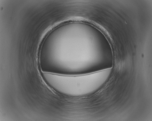 X0000083071327200702021001