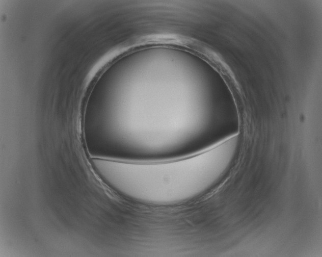 X0000083071328200702021001