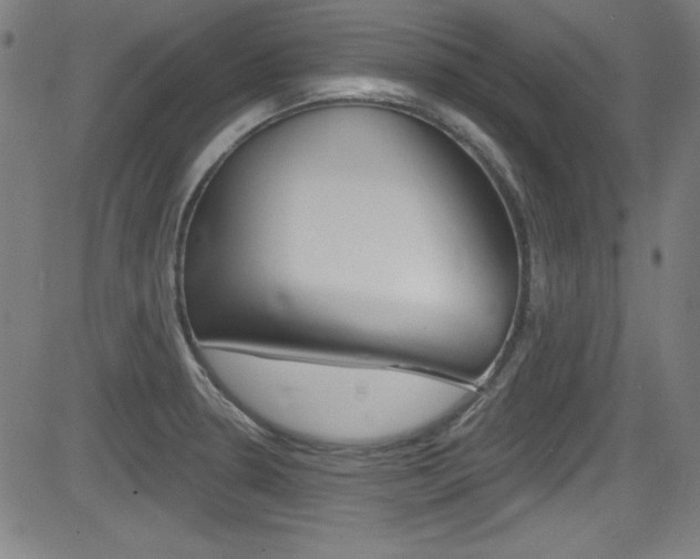 X0000083071330200702021001
