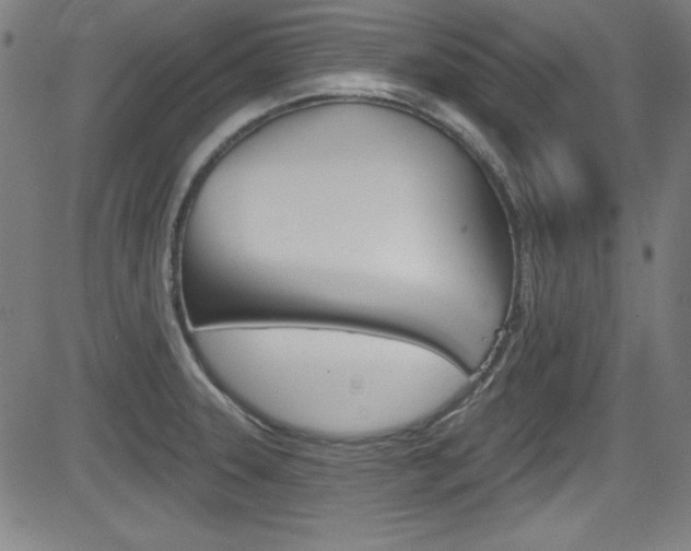 X0000083071331200702021001