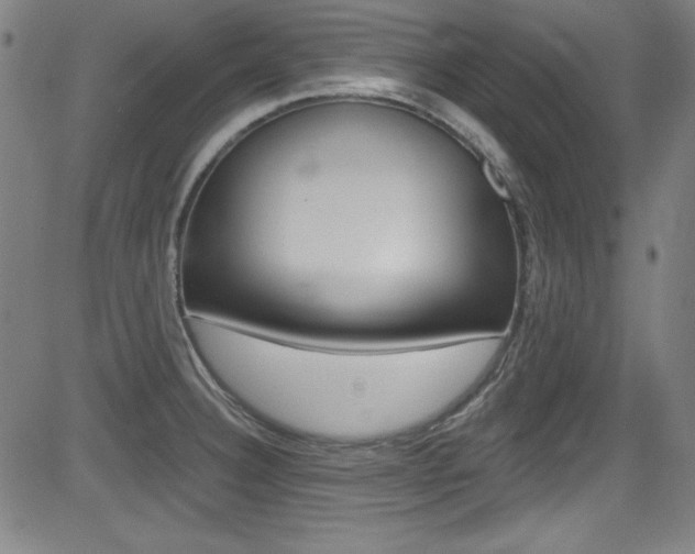 X0000083071332200702021001