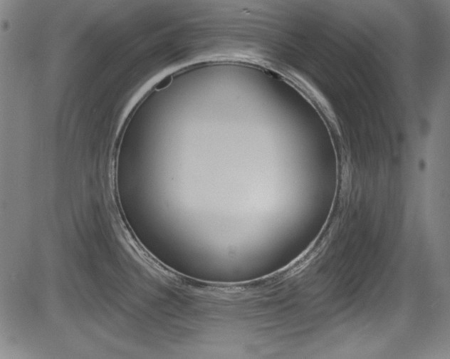 X0000083071340200702021001