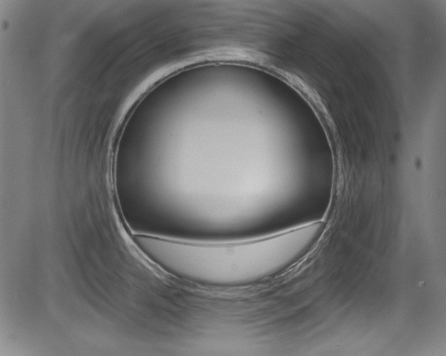 X0000083071342200702021001