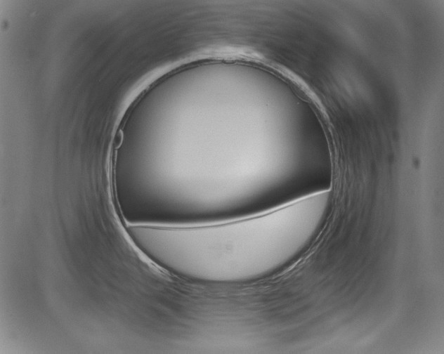 X0000083071343200702021001