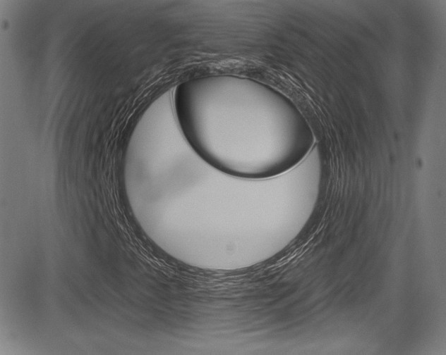X0000083071345200702021000