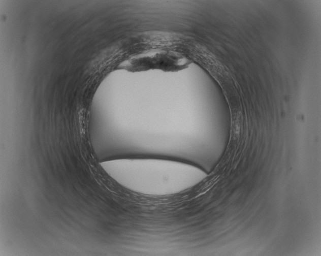 X0000083071346200702021000