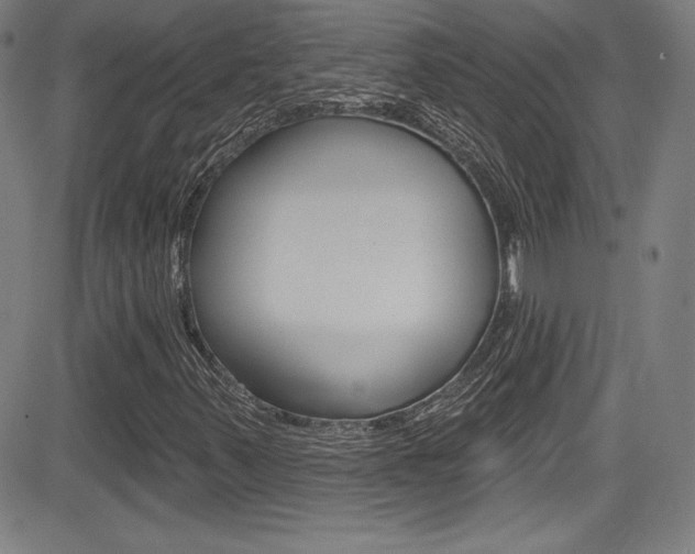 X0000083071347200702021000