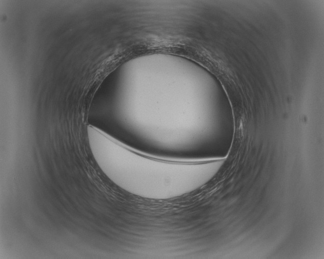 X0000083071348200702021000