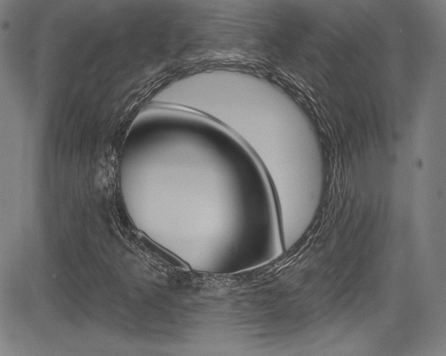 X0000083071349200702021000