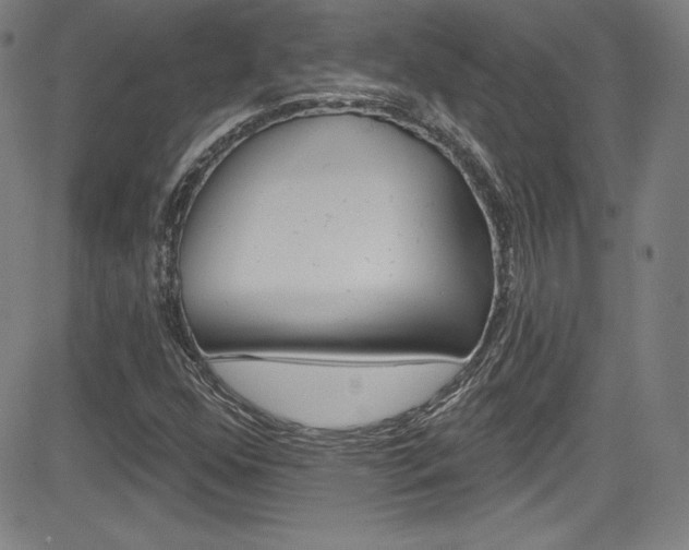 X0000083071352200702021000