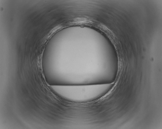 X0000083071353200702021000