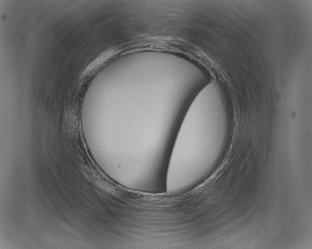 X0000083071354200702021000