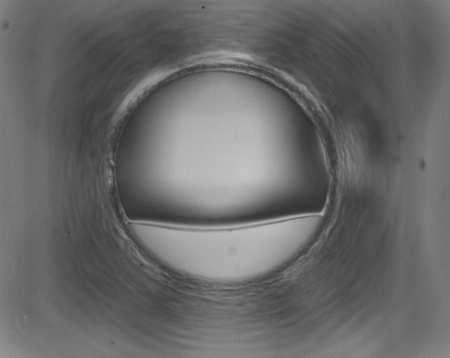 X0000083071363200702021000