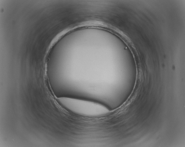 X0000083071366200702021000