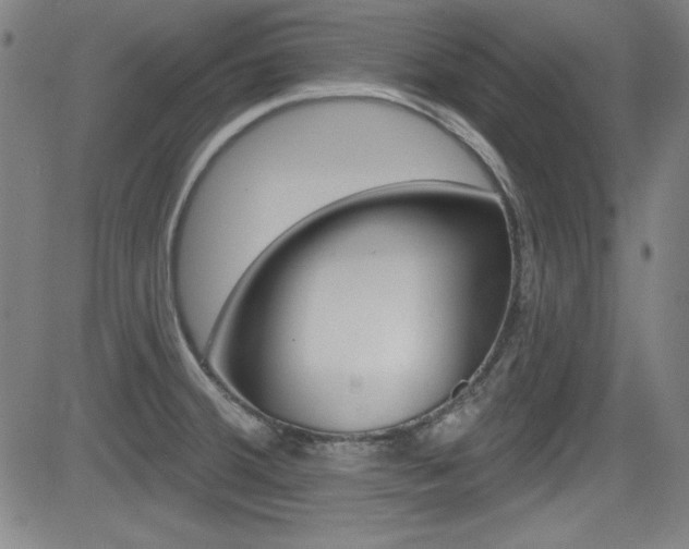 X0000083071380200702021000