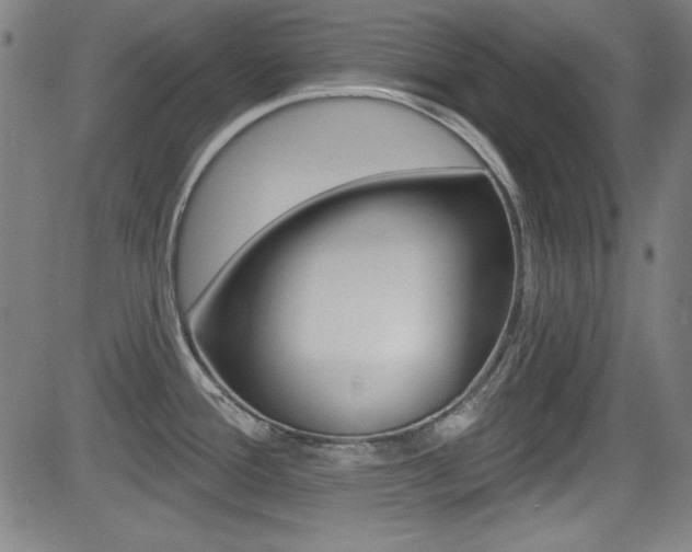 X0000083071388200702021000