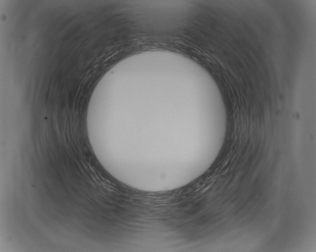 X0000083071394200702020959