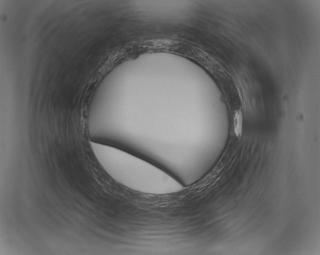 X0000083071395200702020959