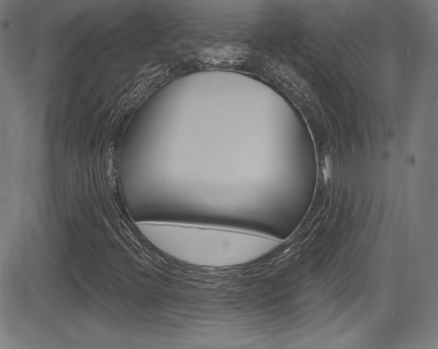X0000083071396200702020959