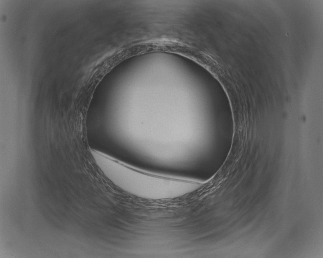 X0000083071398200702020959