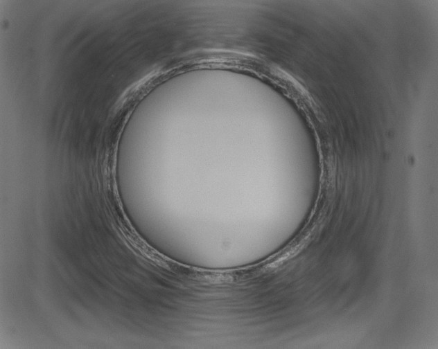 X0000083071403200702020959